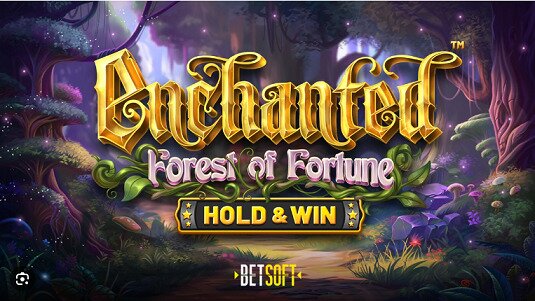 ENCHANTED-FOREST OF FORTUNE REVIEW cover image